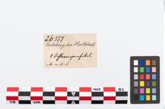 Etikett zu Bronzeschlangenfibel (NHMW-PRAE-026557)